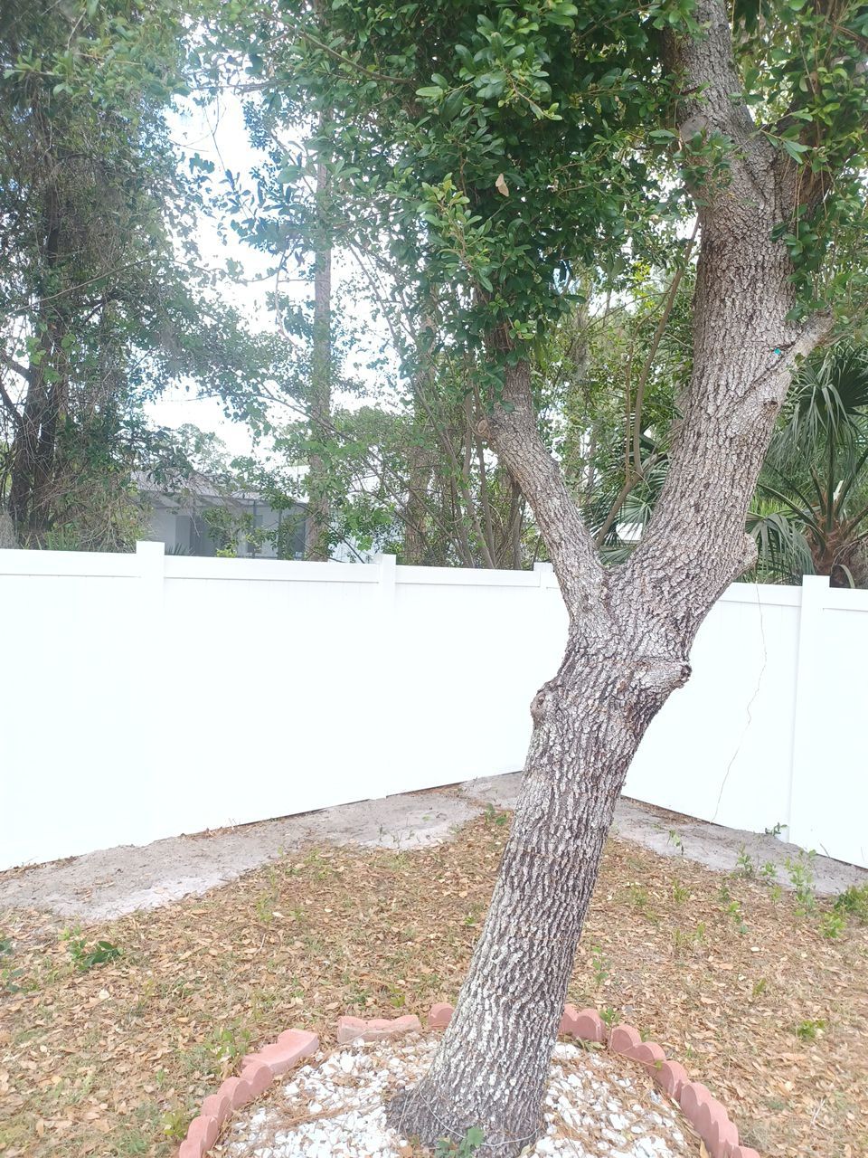 North Port, FL 6ft. Tall White Vinyl Privacy Fence by Asap fence and gates, LLC