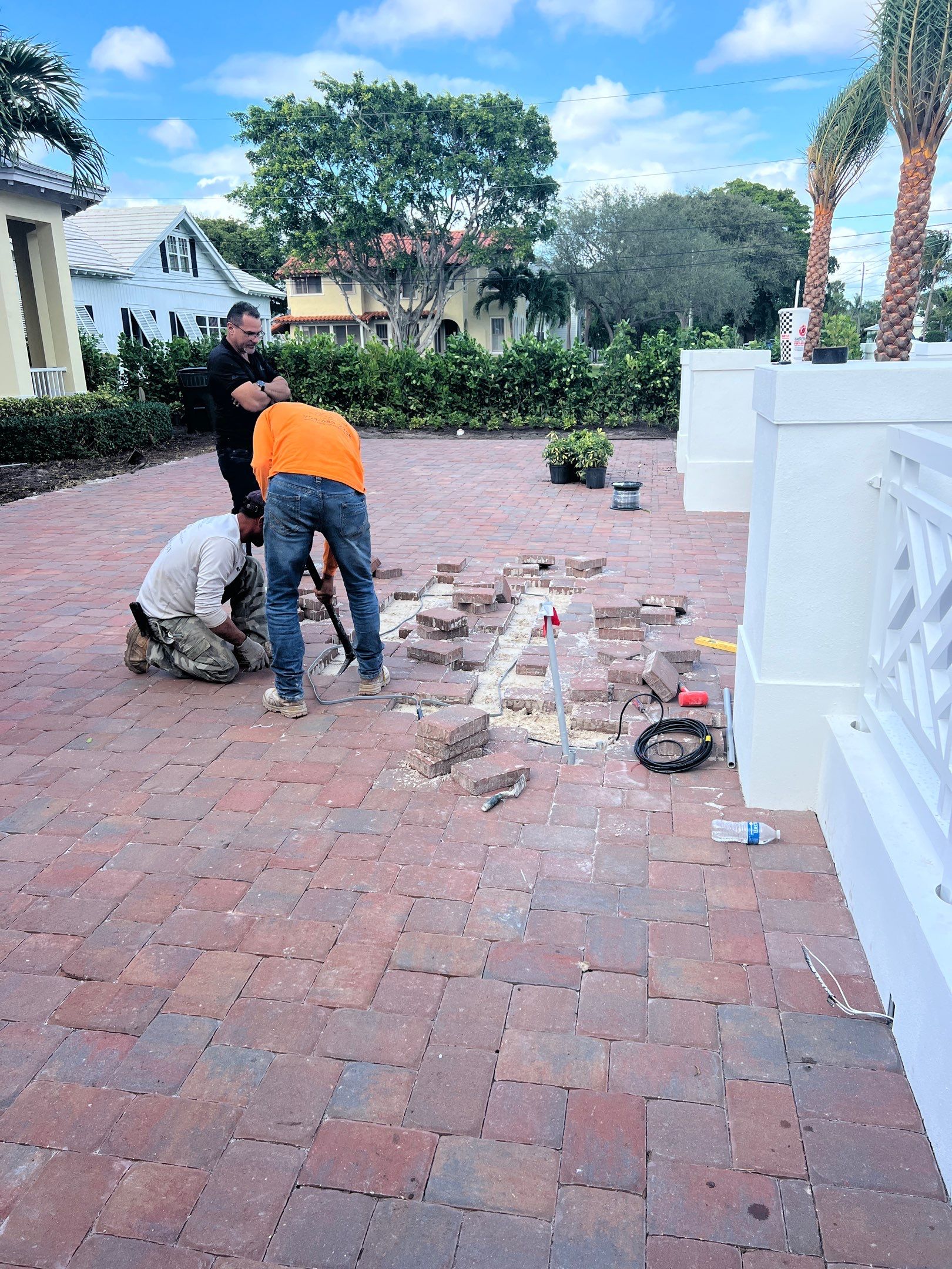 Hazard  by The Landscaping People