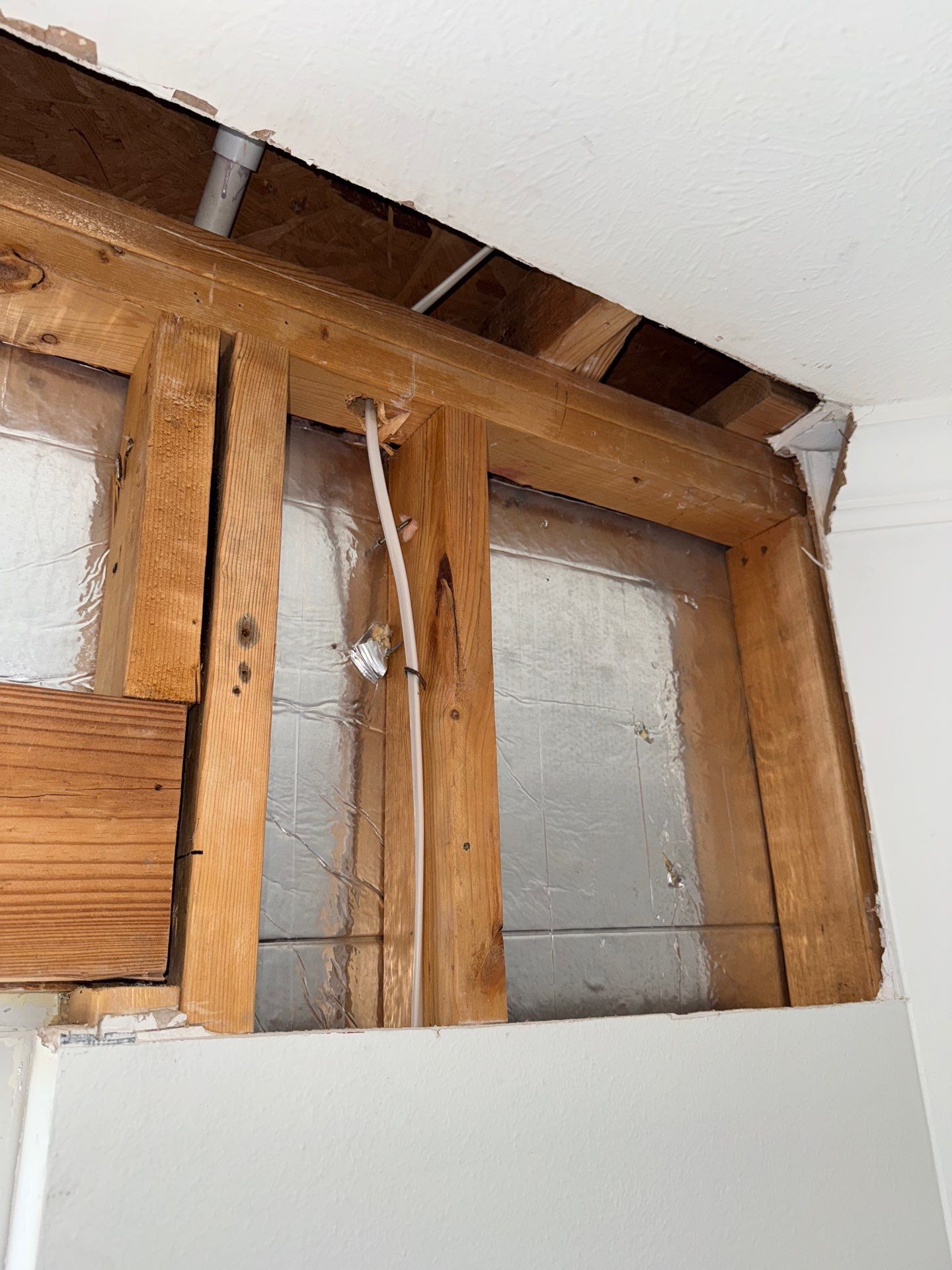 Mold Remediation Job in Richmond by Team Home Solutions
