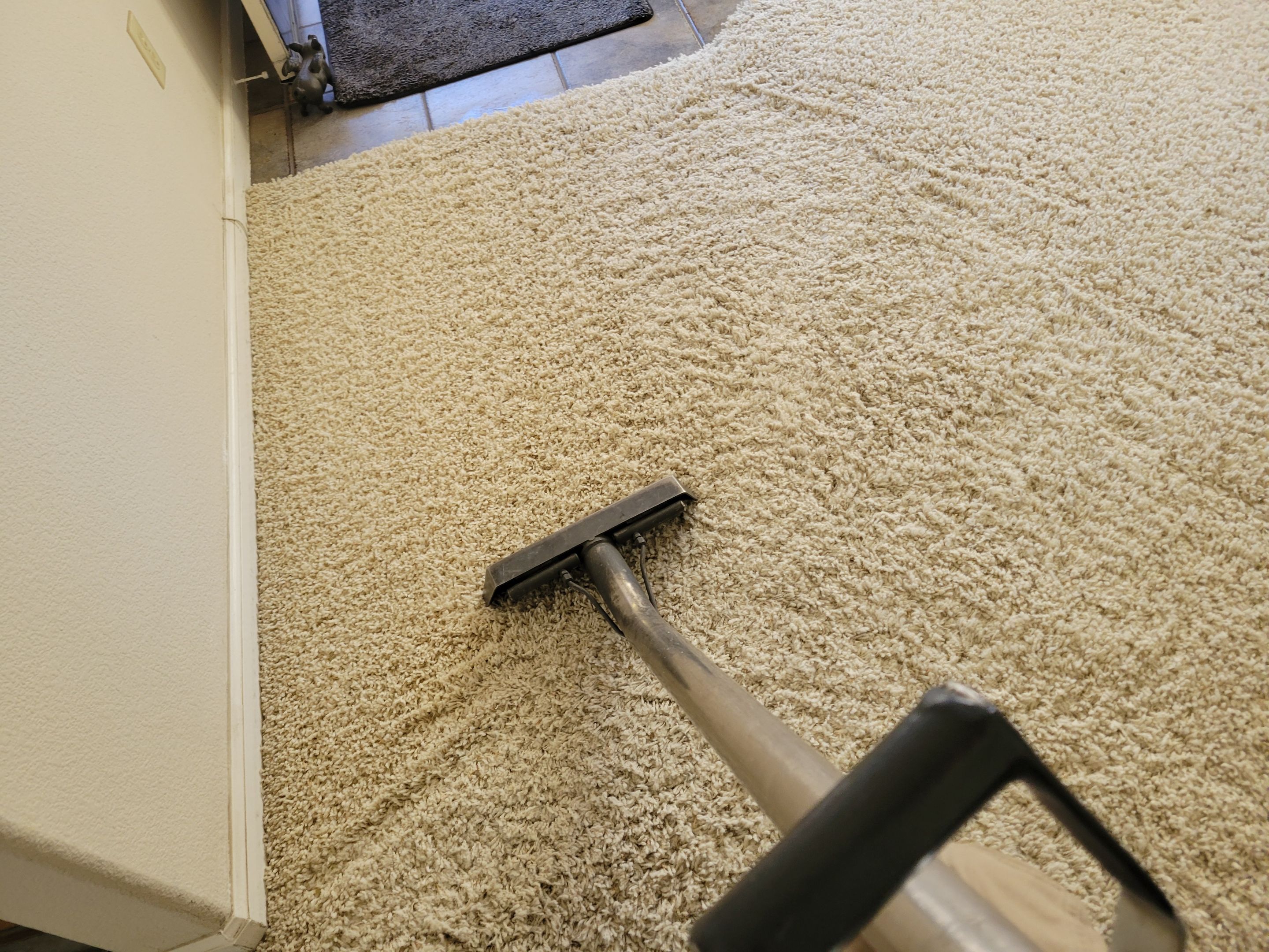 Carpet Cleaning with CRB in High-Traffic by Ardent Carpet Restore LLC