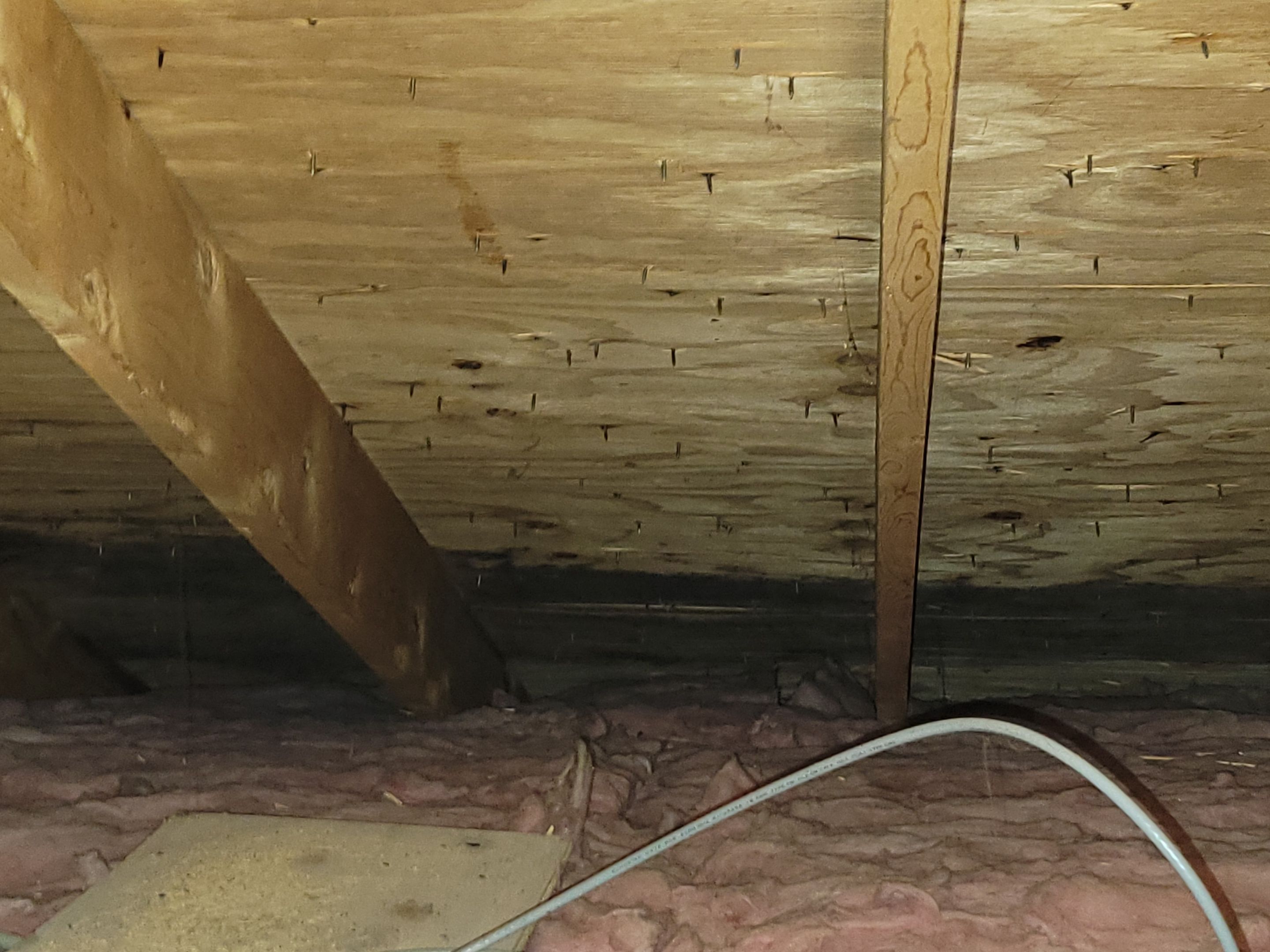Attic Mold Remediation by Chicagoland Water Medics