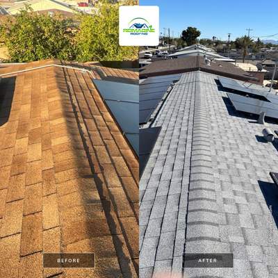Silver Birch Shingles