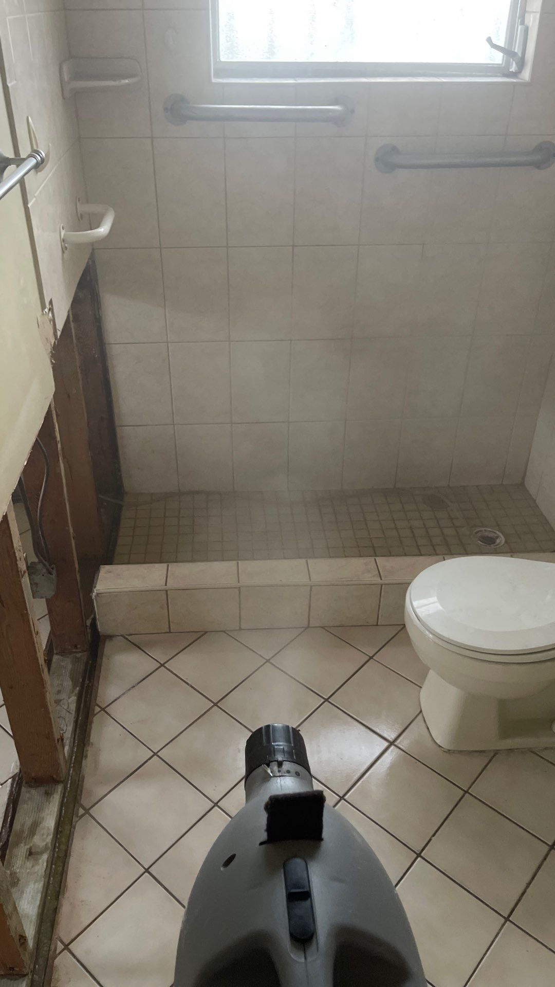 Mold Remediation  by THE RAPID TEAM