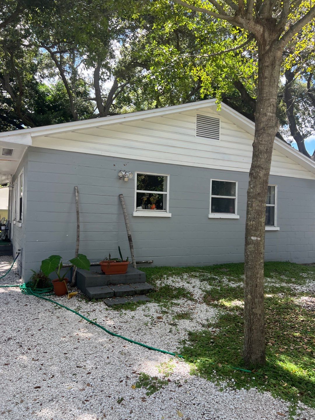 St Petersburg Mold Remediation by Ampm Restoration Services 