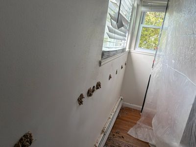 Project in Auburn