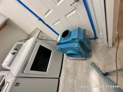 Mold Remediation — Marco Island, FL
