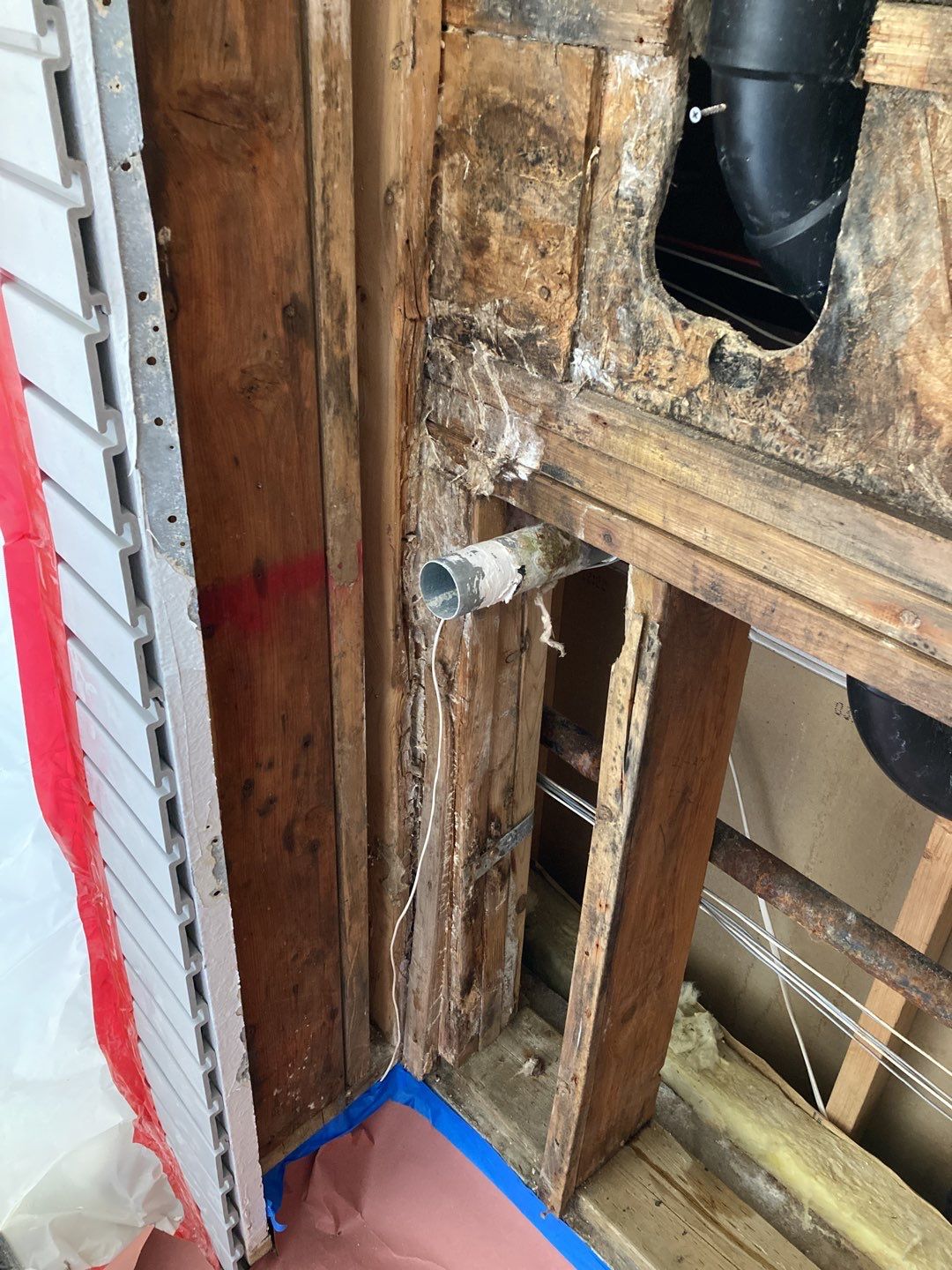 Mold Remediation using Containment by Accountable Home Services