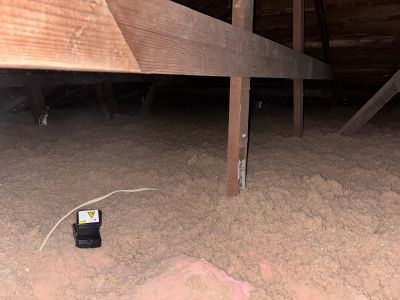 Project in Los Angeles