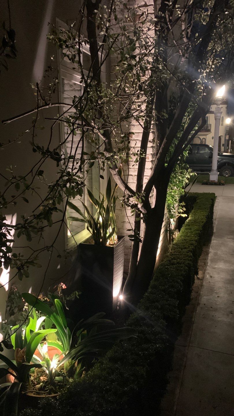 Long Beach Landscape and Architectural Lighting Revamp by Outdoor Lights + Shades