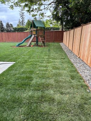 Backyard Renovation | Lynnwood 