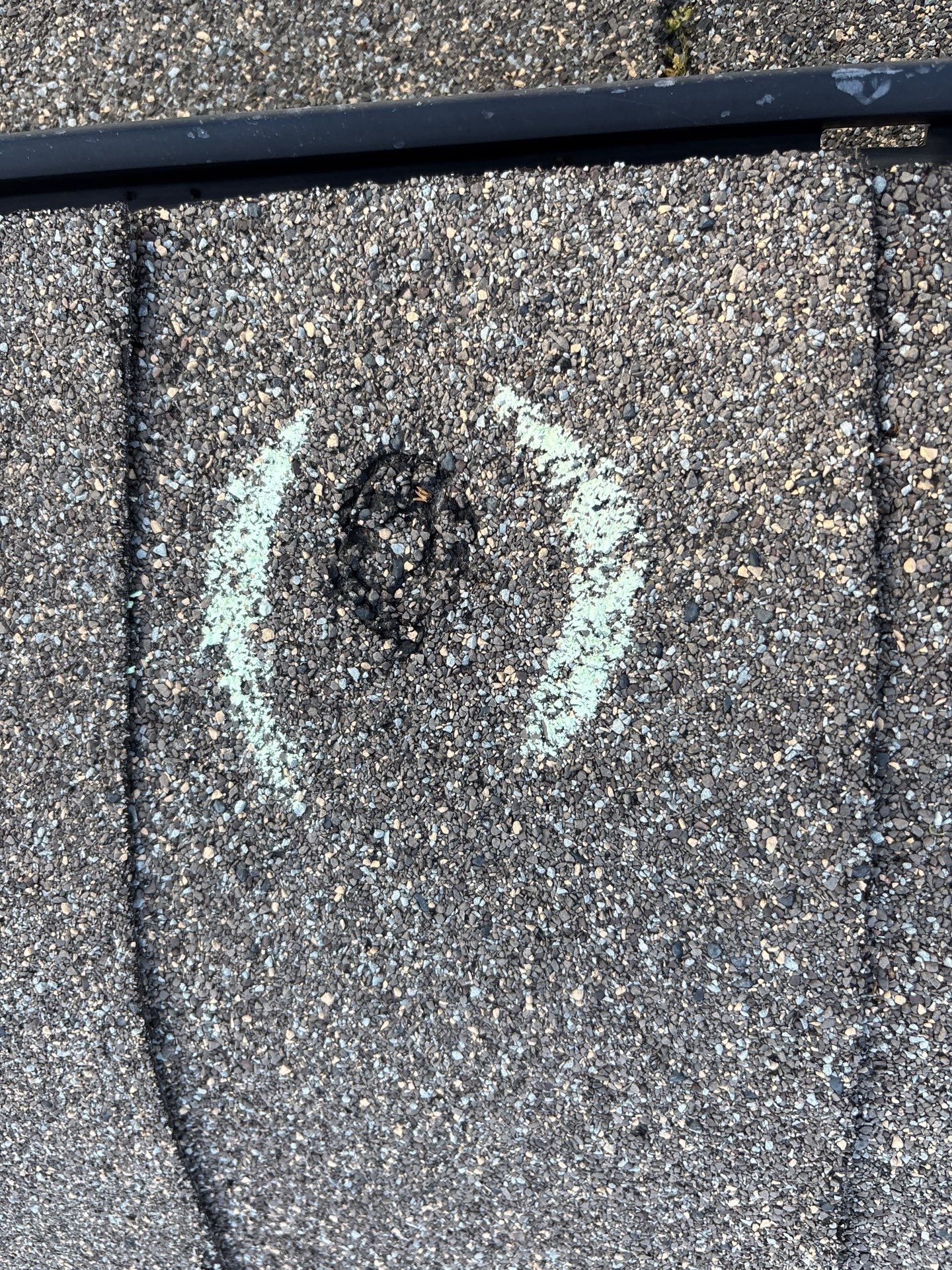 Brent M by Boss Hogg Roofing