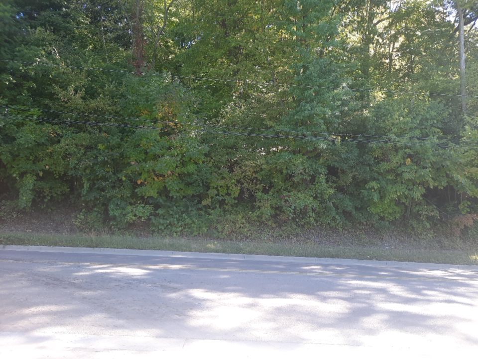 Tree Removal using Tree Removal by Mike Jones & Sons Tree Service LLC 