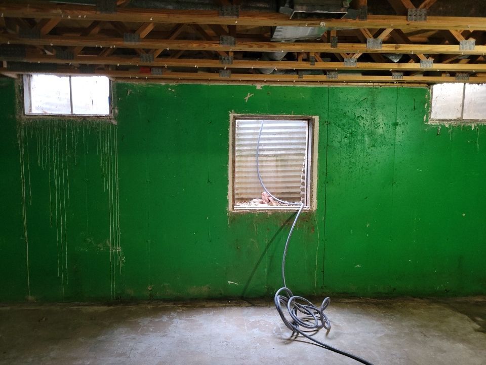 Grossly Contaminated Basement Mold by Chicagoland Water Medics