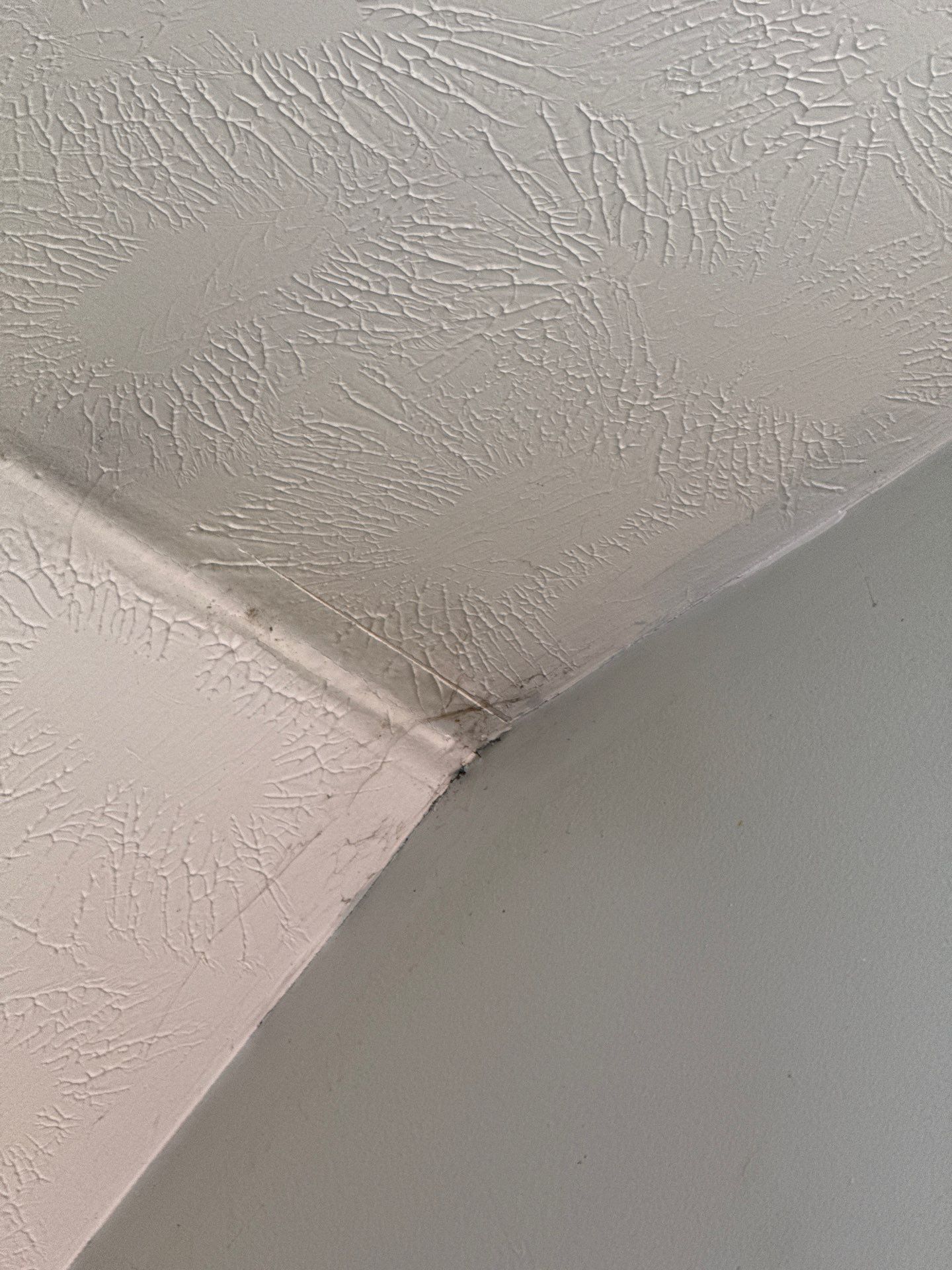 Roof replacement and interior repair by hail and wind damage by Just Brilliant Restoration JBR