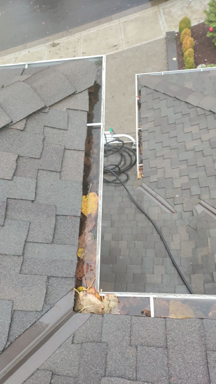 Gutter Cleaning by Paul Schopp