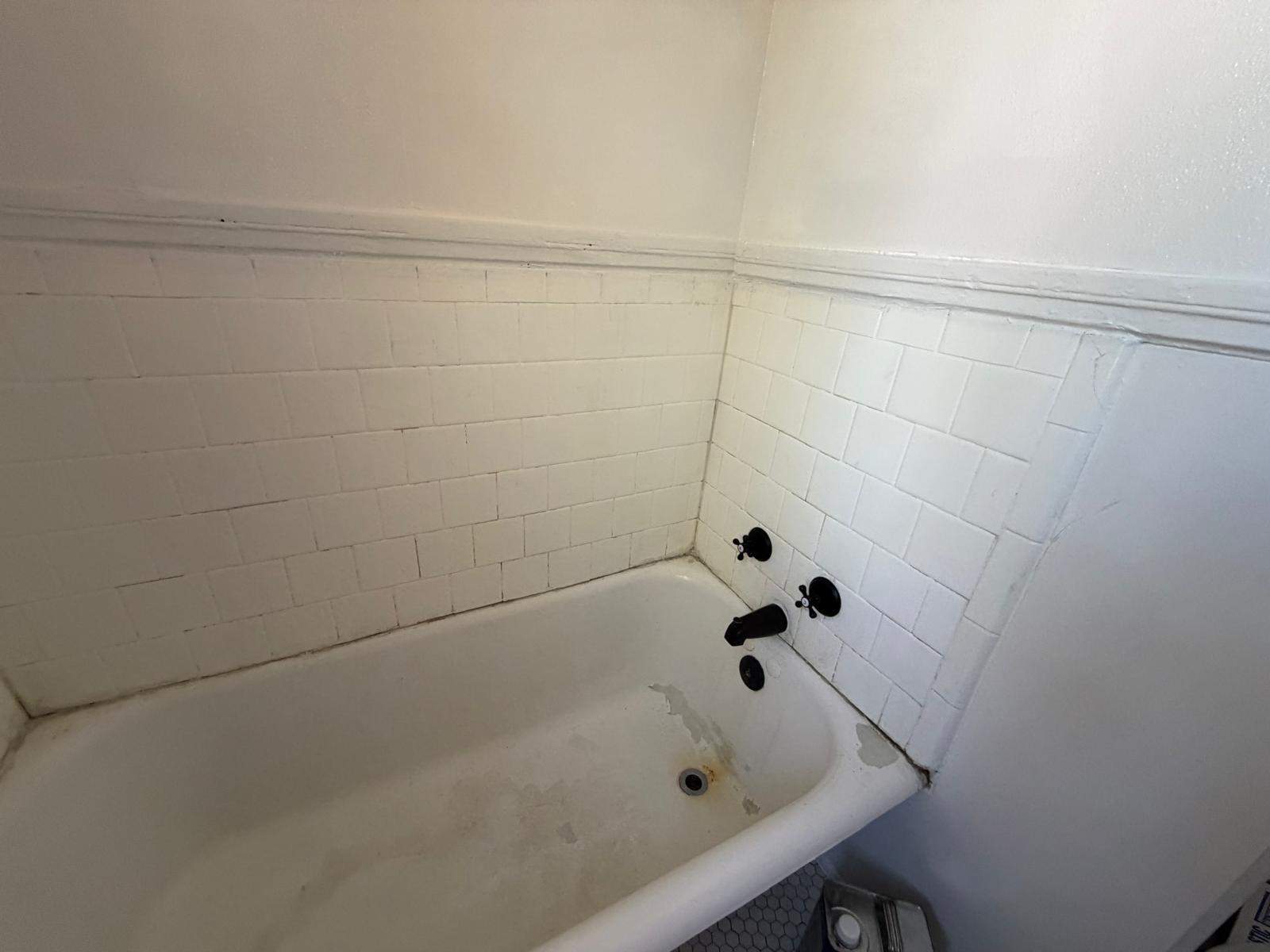 Bathtub renovation  by Alpha and Omega Pro Services
