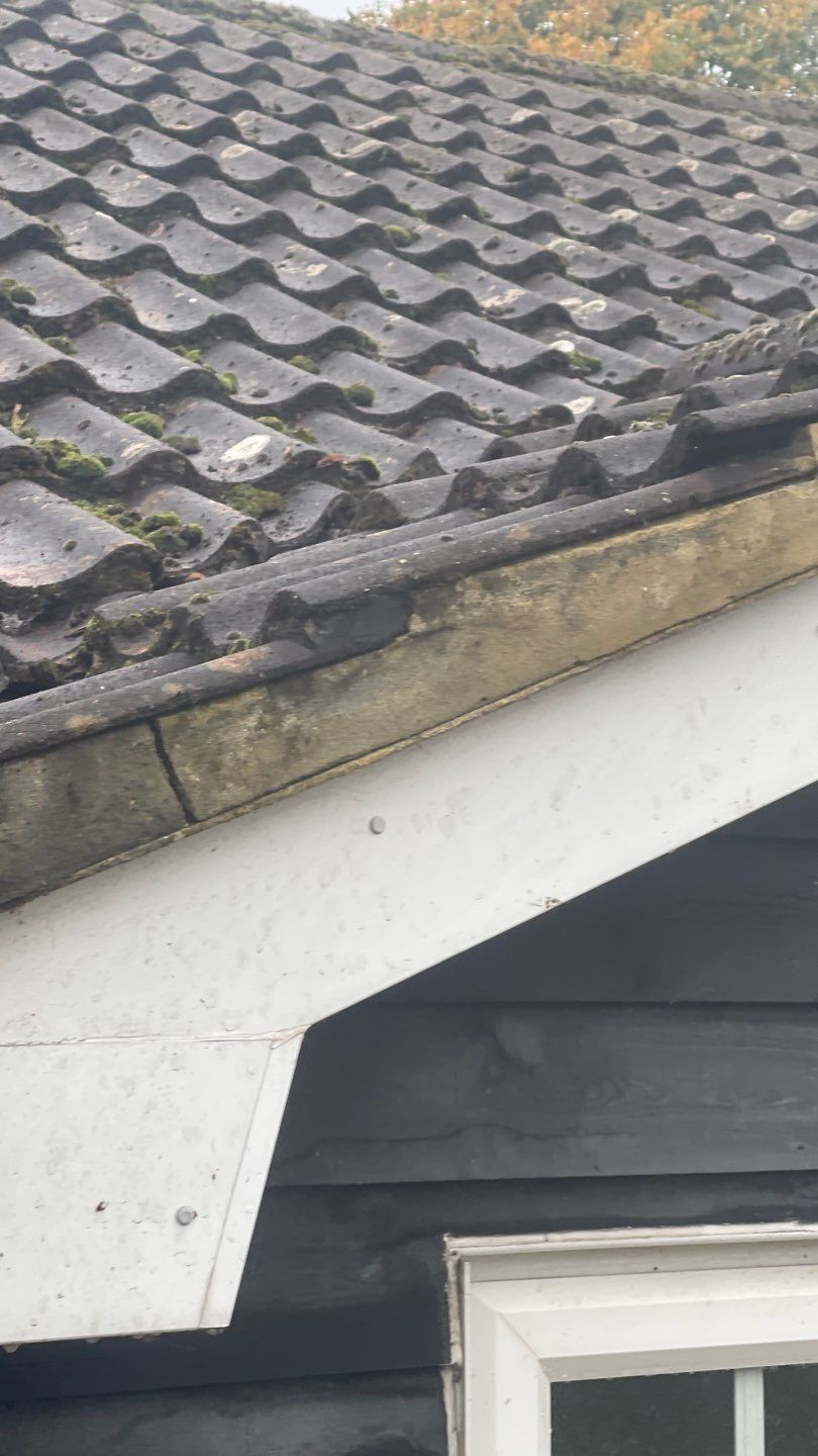 Roof Clean and Biocide Treatment using Honda 15lpm Low Pressure Washing Machine by Ges Exterior Cleaning ltd