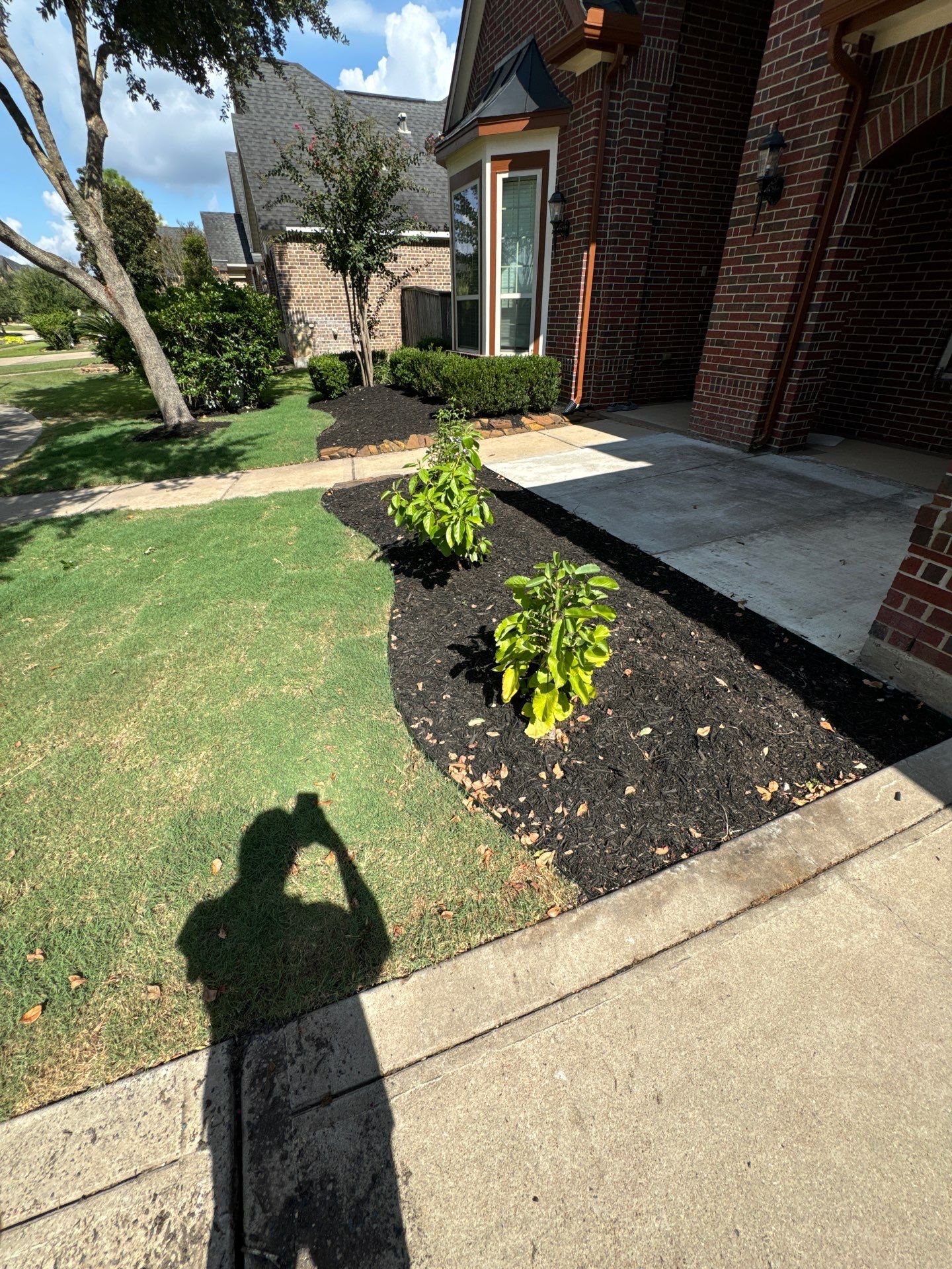 🌿🏡 Project Spotlight: Front Yard Curb Appeal Rescue for Mr. B. Khara by Texas Urban Elements