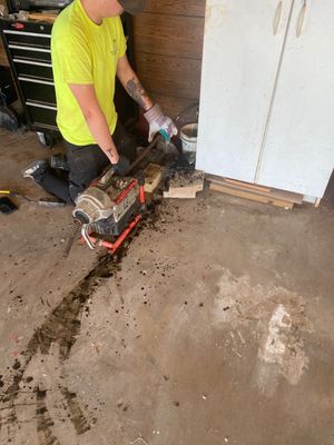 Project in Langston