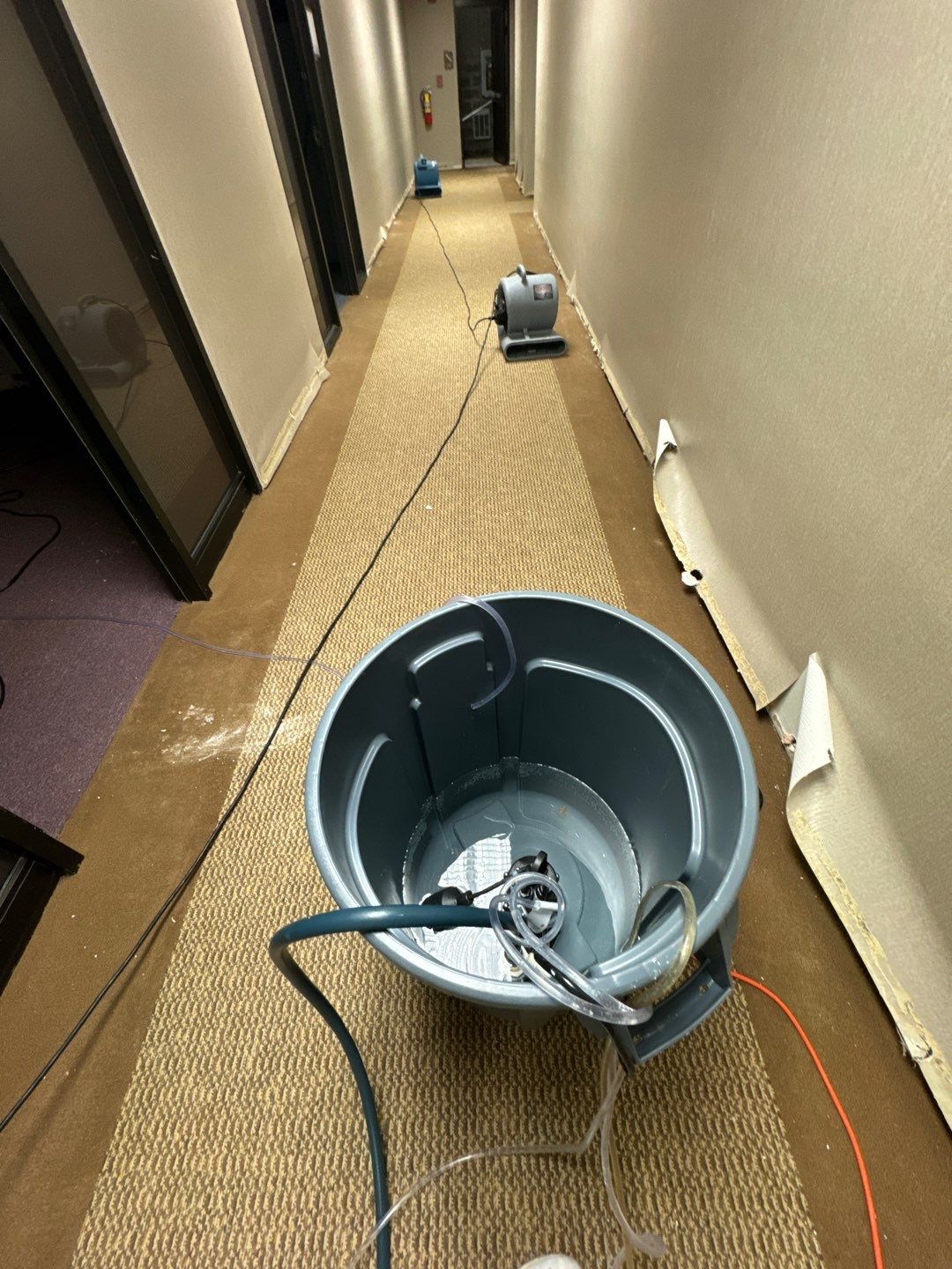 Project in Warren by EzDry Water Mitigation & Property Restoration