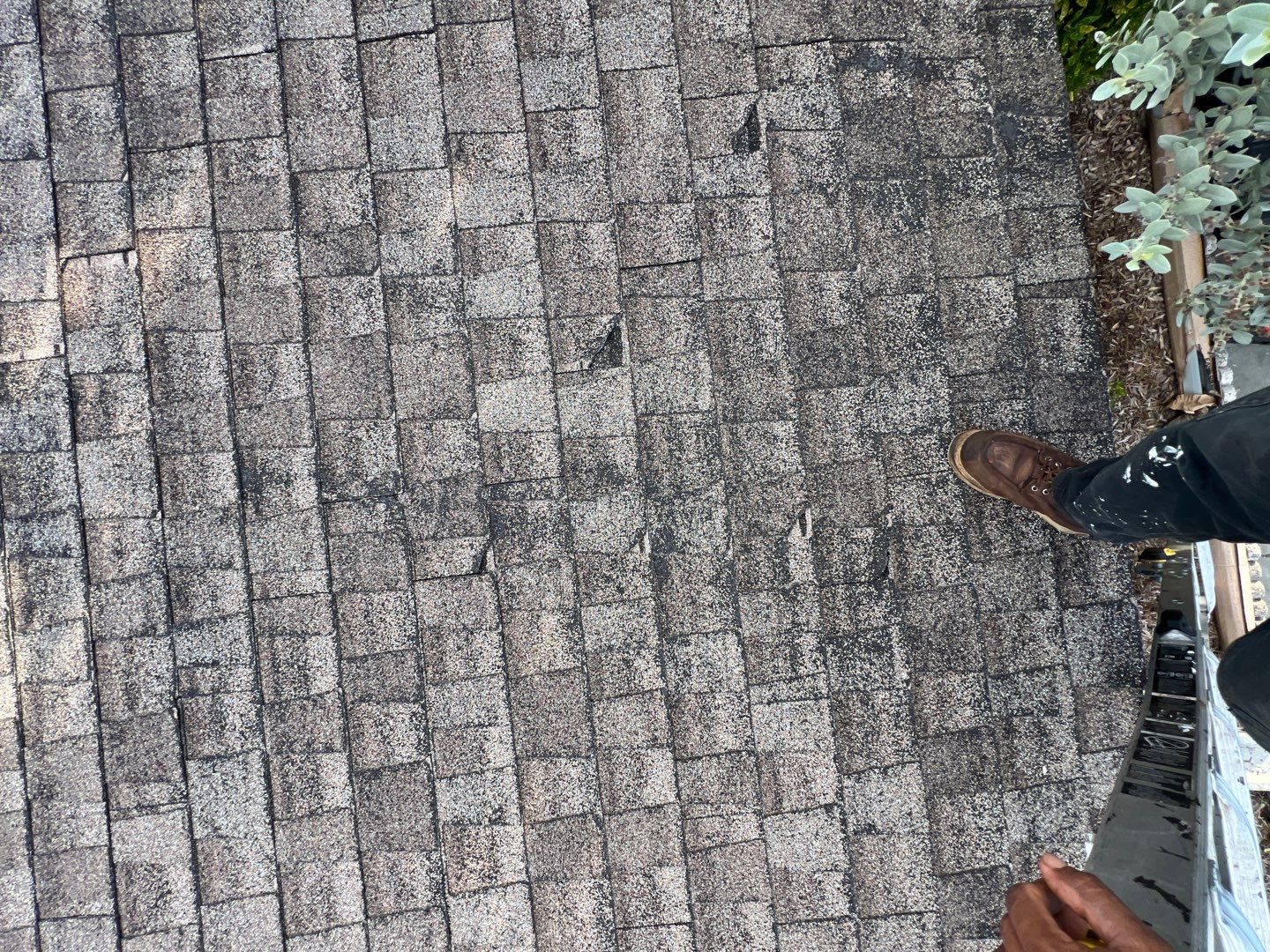 Project in St. Petersburg 33711 by Mitchell Roofing Company LLC 