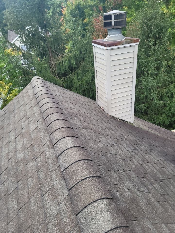 Brand: Atlas Pinnacle Color: Pristine Scotchguard Black Drip: Black by Eagle Eye Roofing