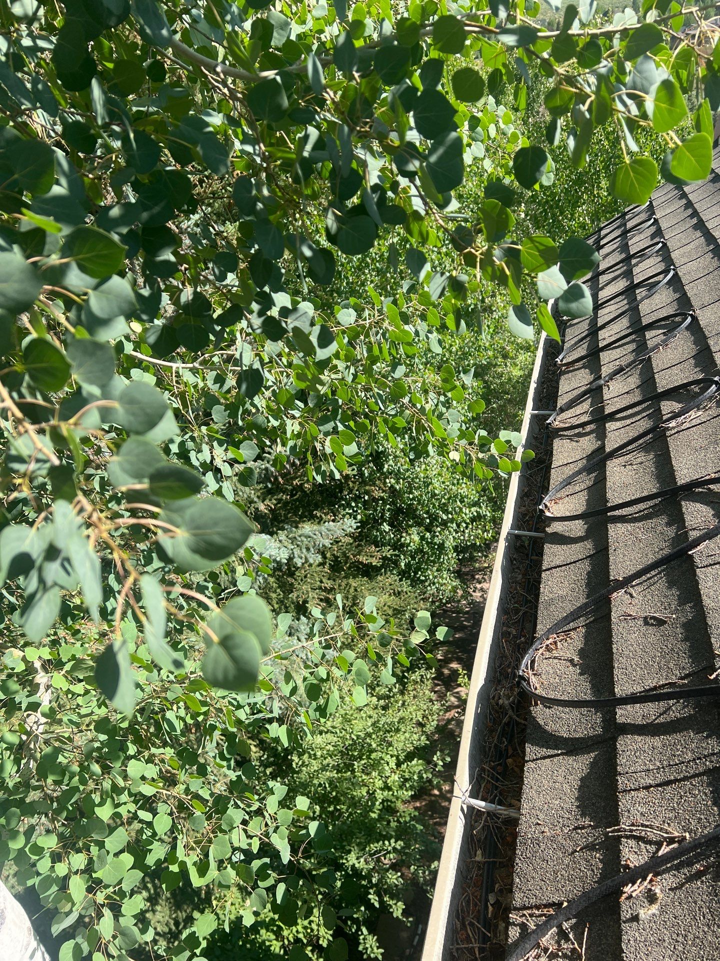 Project in Park City by Emerald Gotcha Gutters 