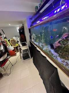 Water Damage by Newhouse Restoration