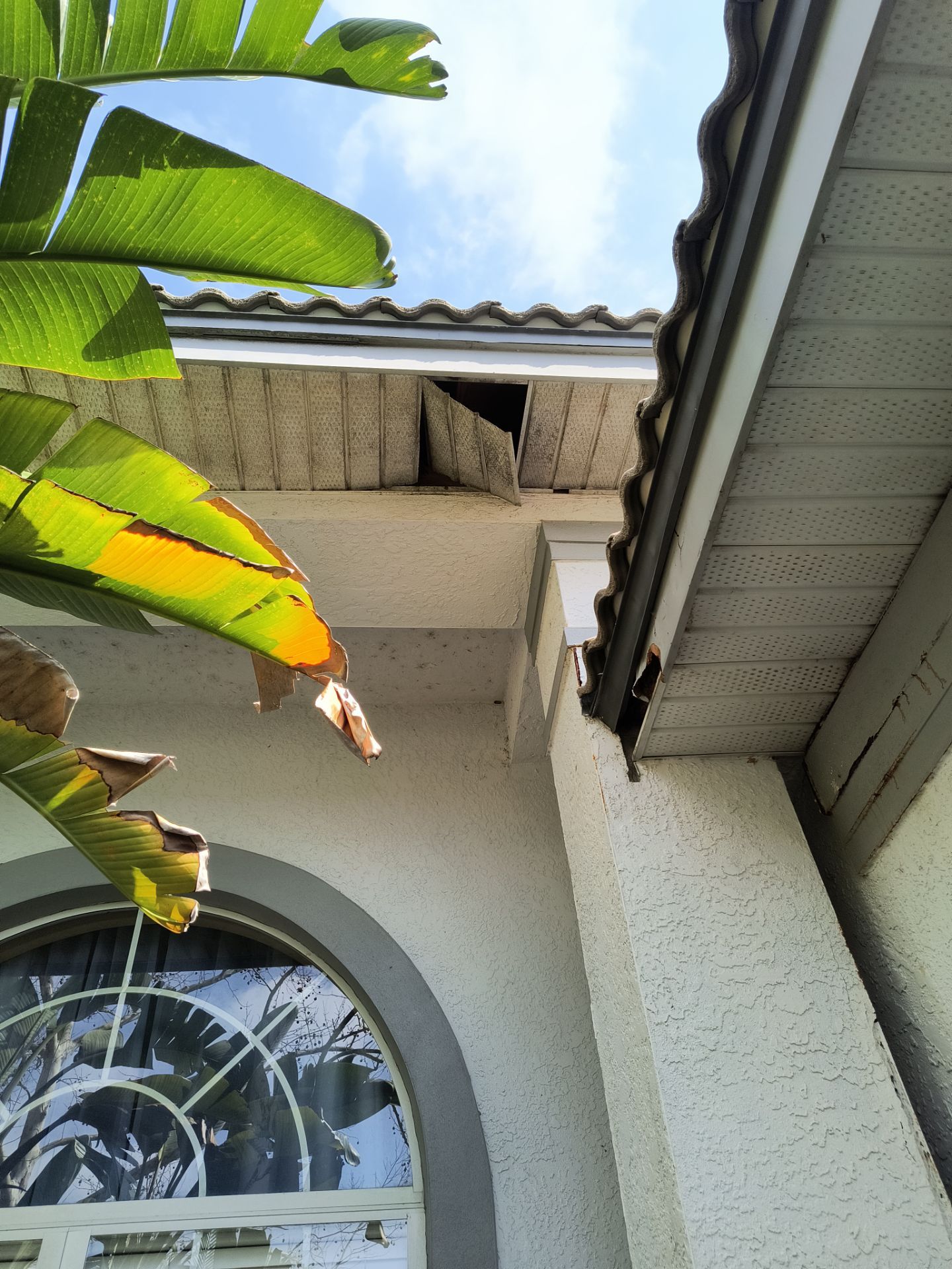 Complete Roofline Upgrade with Soffit, Fascia & Gutters Tampa FL by Gutter Professors