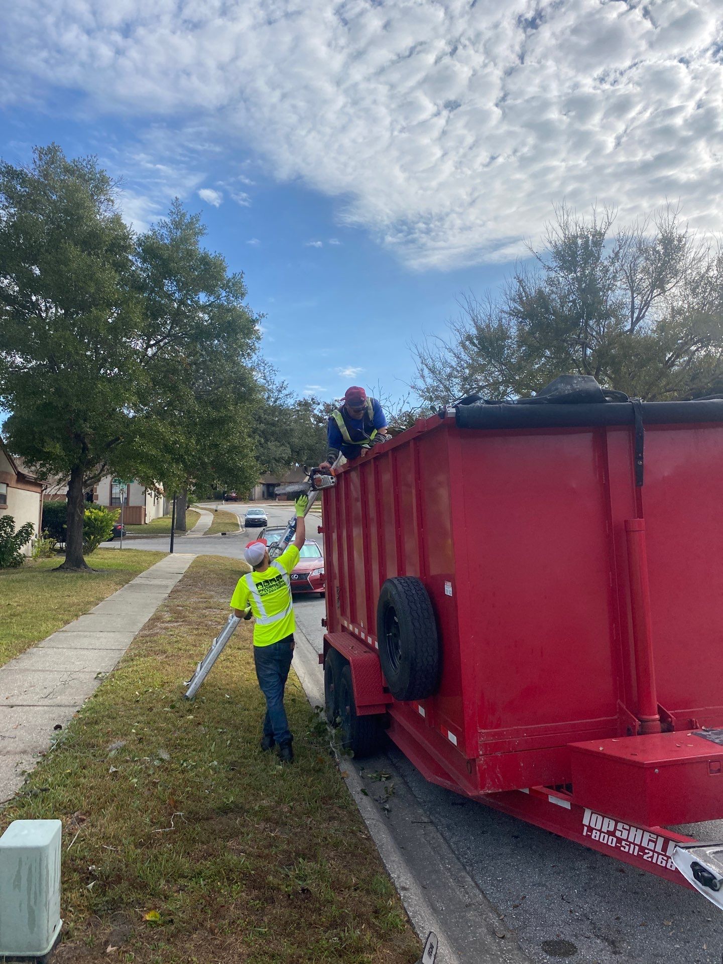 Residential | Tree Removal & Trimming by ProGreen Services