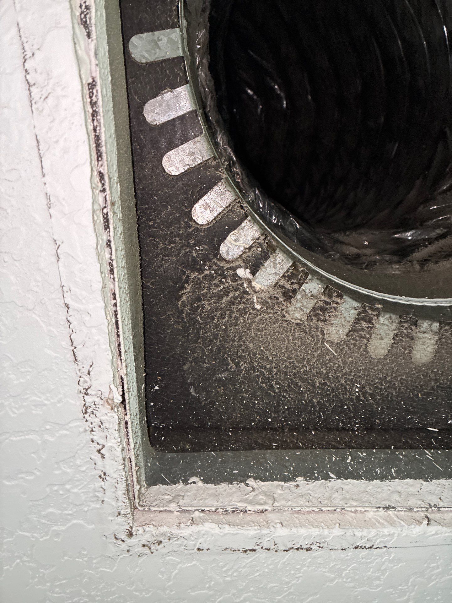 Air Duct Cleaning in Groveland by Hygienic Air, Inc
