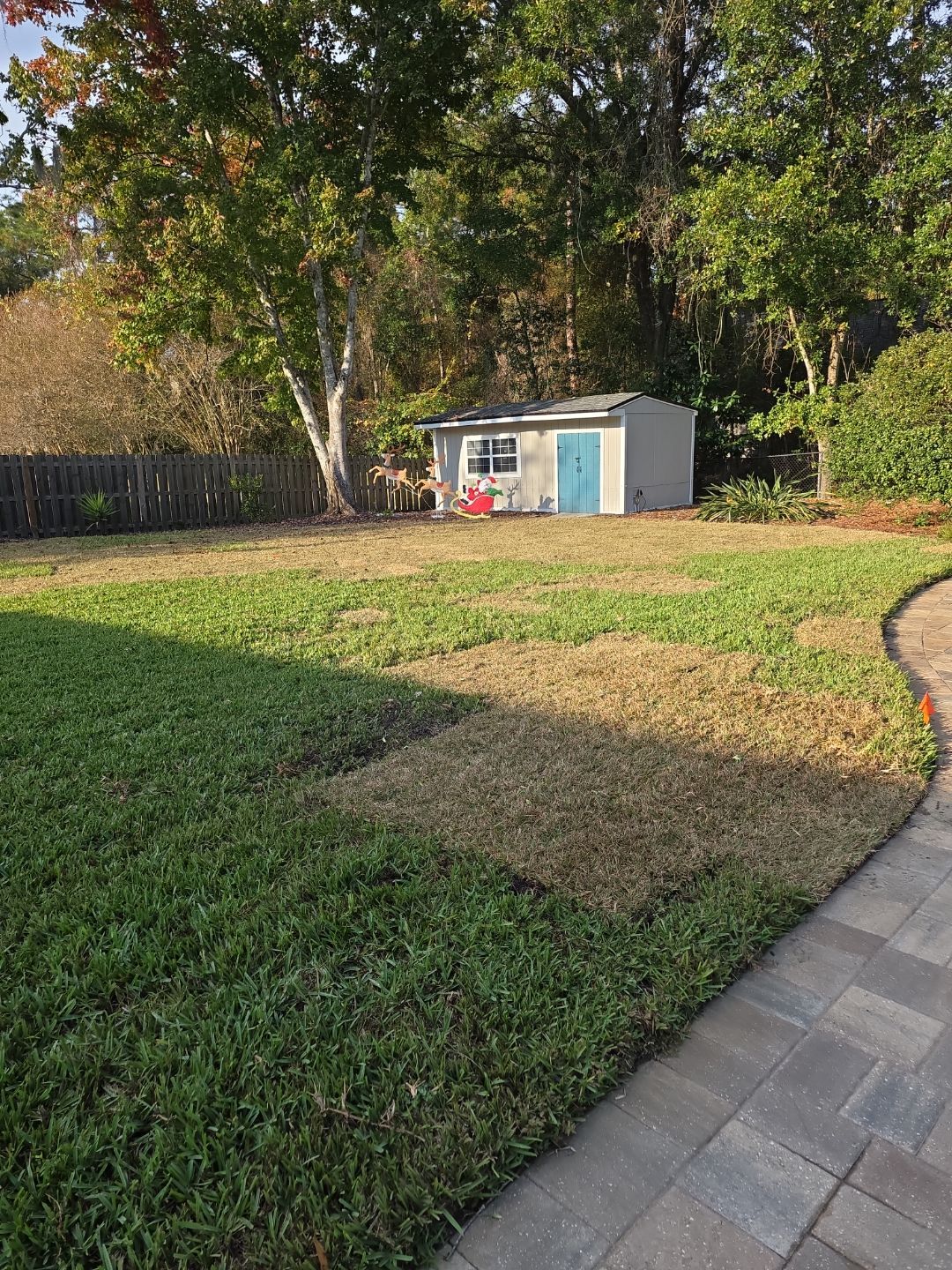 Deerwood Resident | Winter Sod Replacement by ProGreen Services