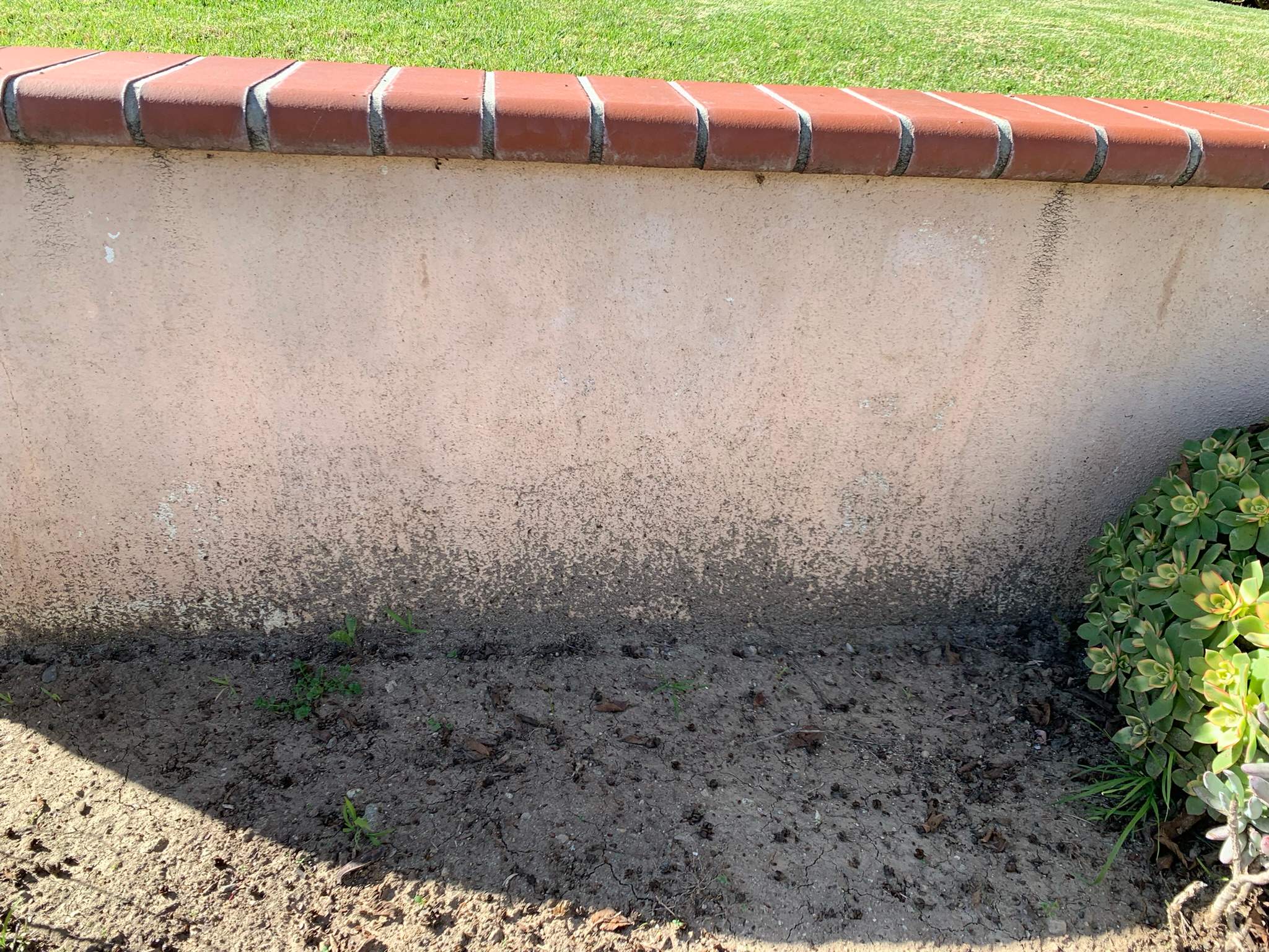 Pressure Wash using Sodium Hypochlorite and Solar Panel Cleaning in Huntington Beach by Property Cleaning Experts