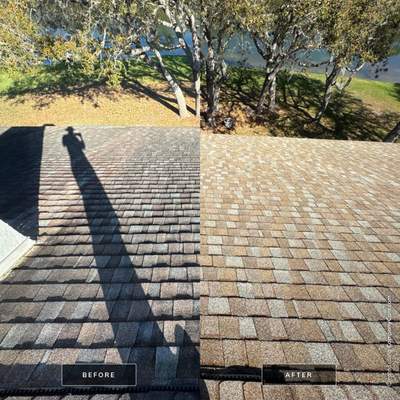 Shingle Roof Cleaning