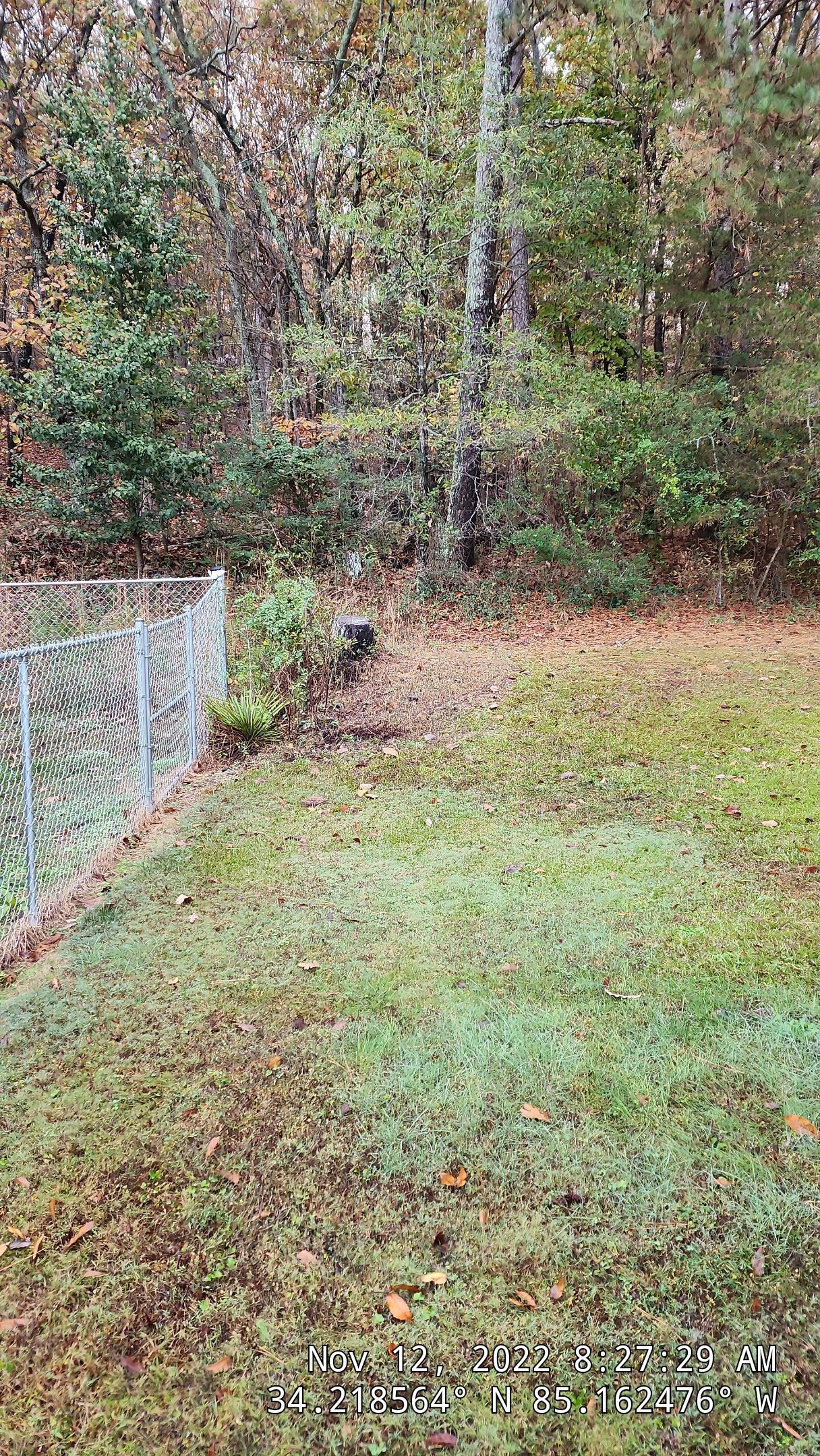 6' Wood Privacy Fence with Top Cap by Titans of Timber Fence & Stain