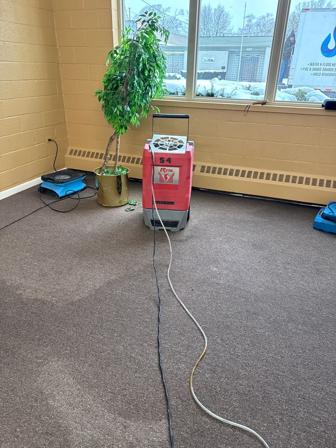 Project in Oak Park by EzDry Water Mitigation & Property Restoration