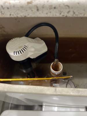 Clogged Toilet and Fill Valve