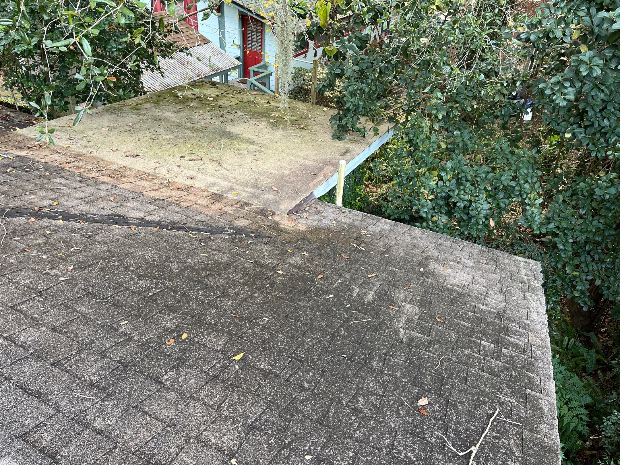 Shingle -> Shingle by Prime Roofing