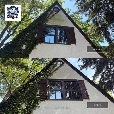 Stucco and Dryvit House Soft Washing