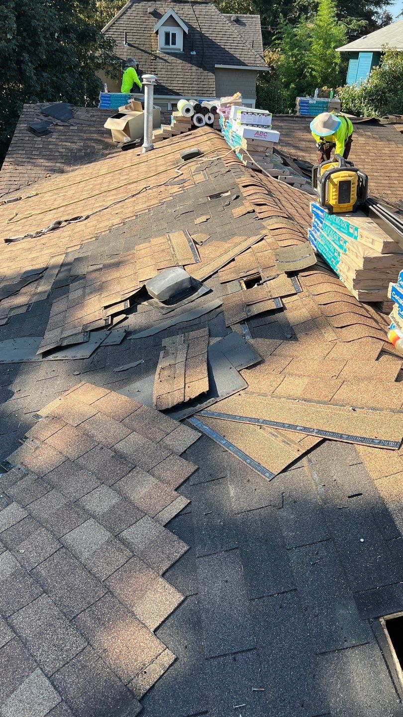 Estate Gray Shingles by Reimagine Roofing