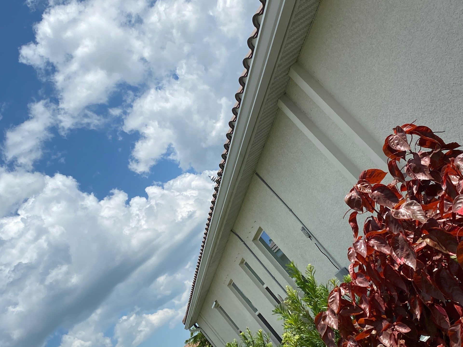 White K Style Seamless Gutters using 6 Inch Seamless Gutters in Sarasota FL by Gutter Professors