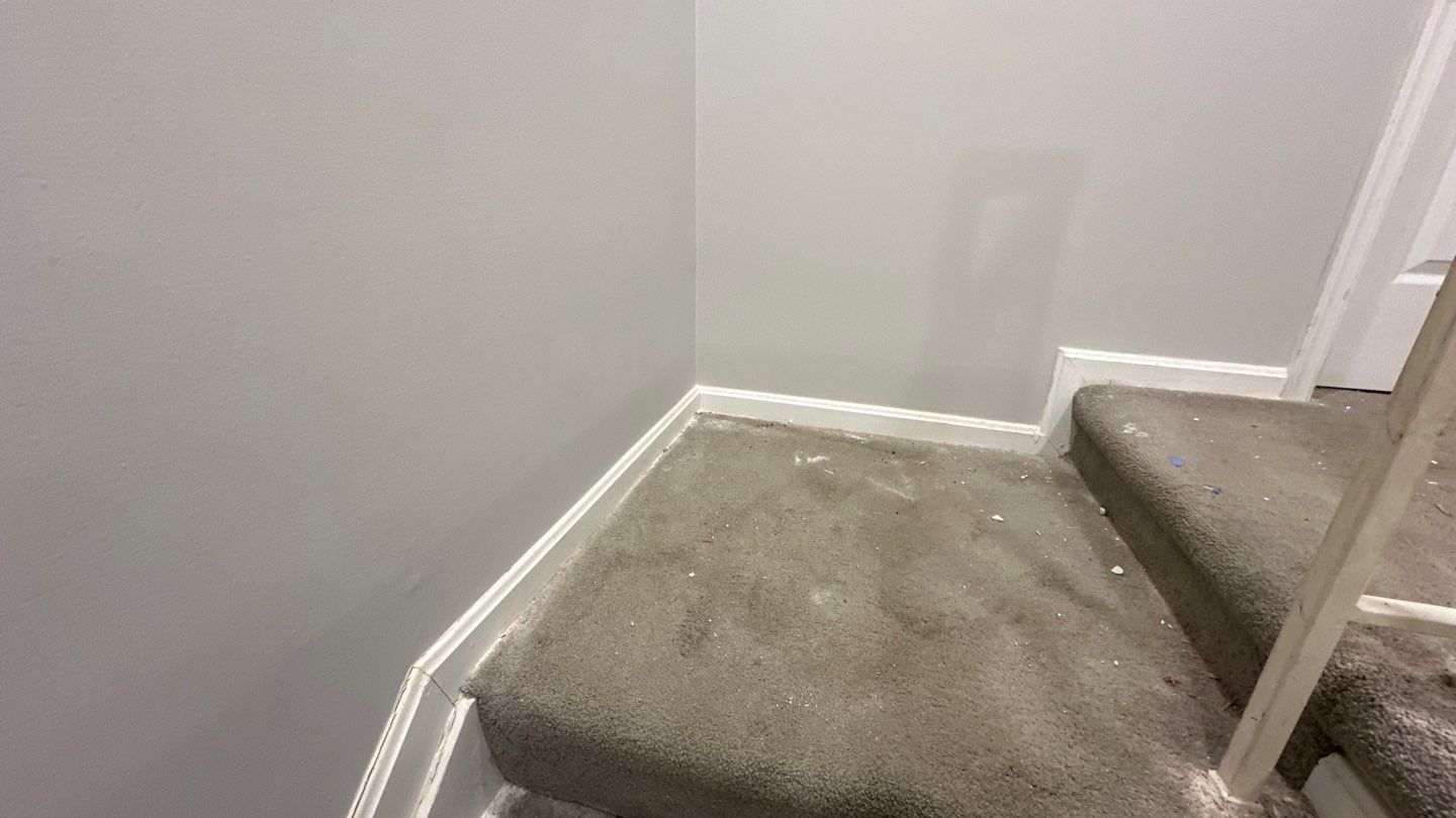 West Springfield: Major Tree Damage Restoration by RM Banning, Inc.