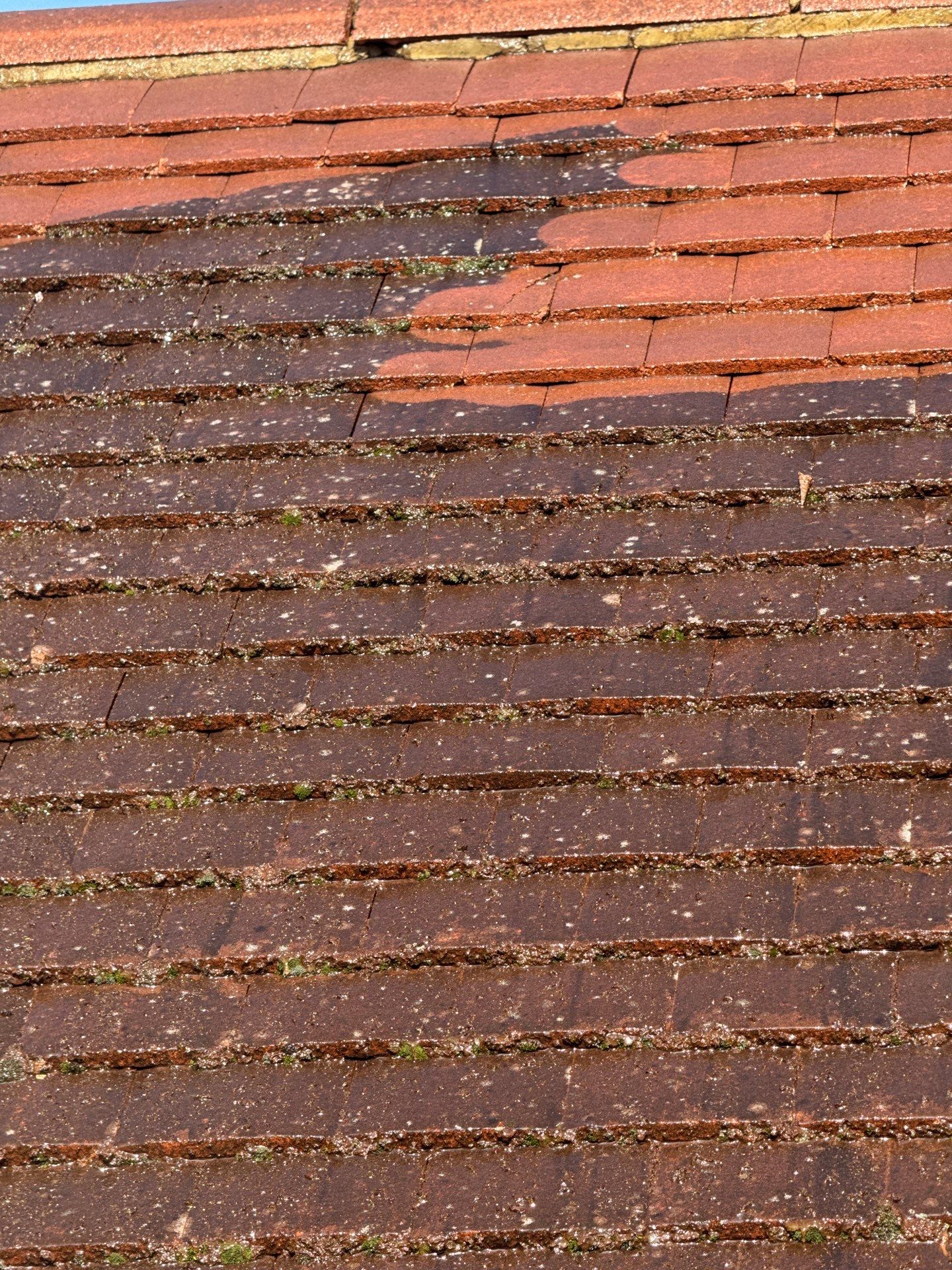 Roof Clean  - Moss Removal - Gutter Clean using Honda 15lpm Low Pressure Washing Machine by Ges Exterior Cleaning ltd