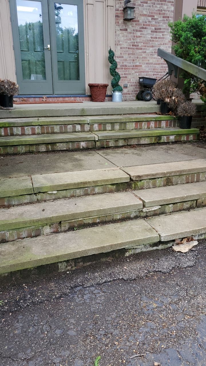 Tree Trimming using Tree Pruing by Mike Jones & Sons Tree Service LLC 