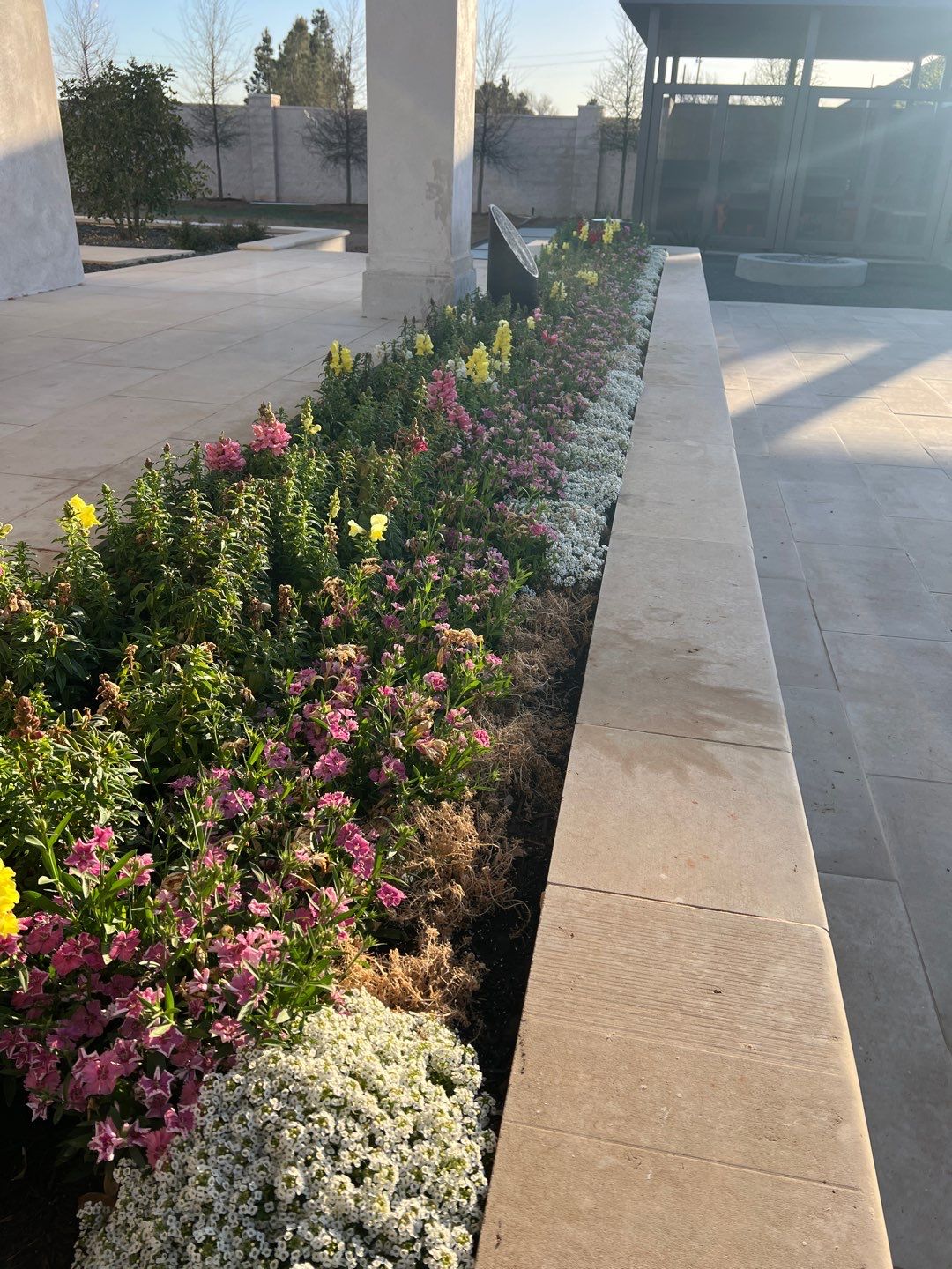 Texland by Agave Garden