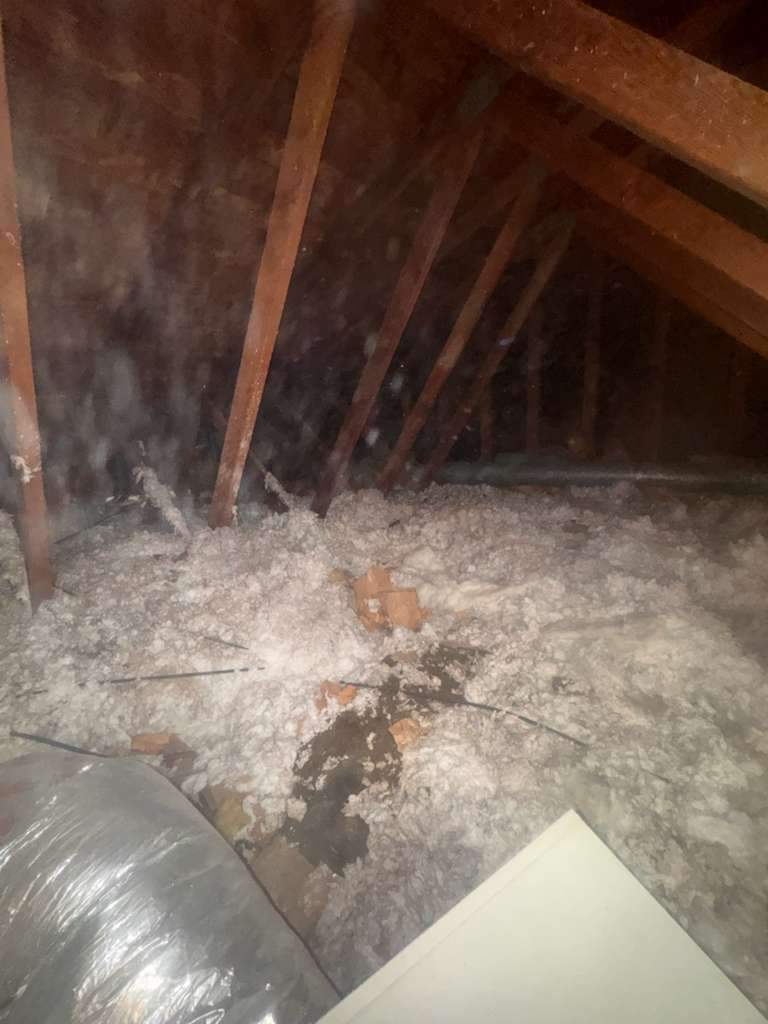 Project in Newport Beach by Advanced Attic Solutions