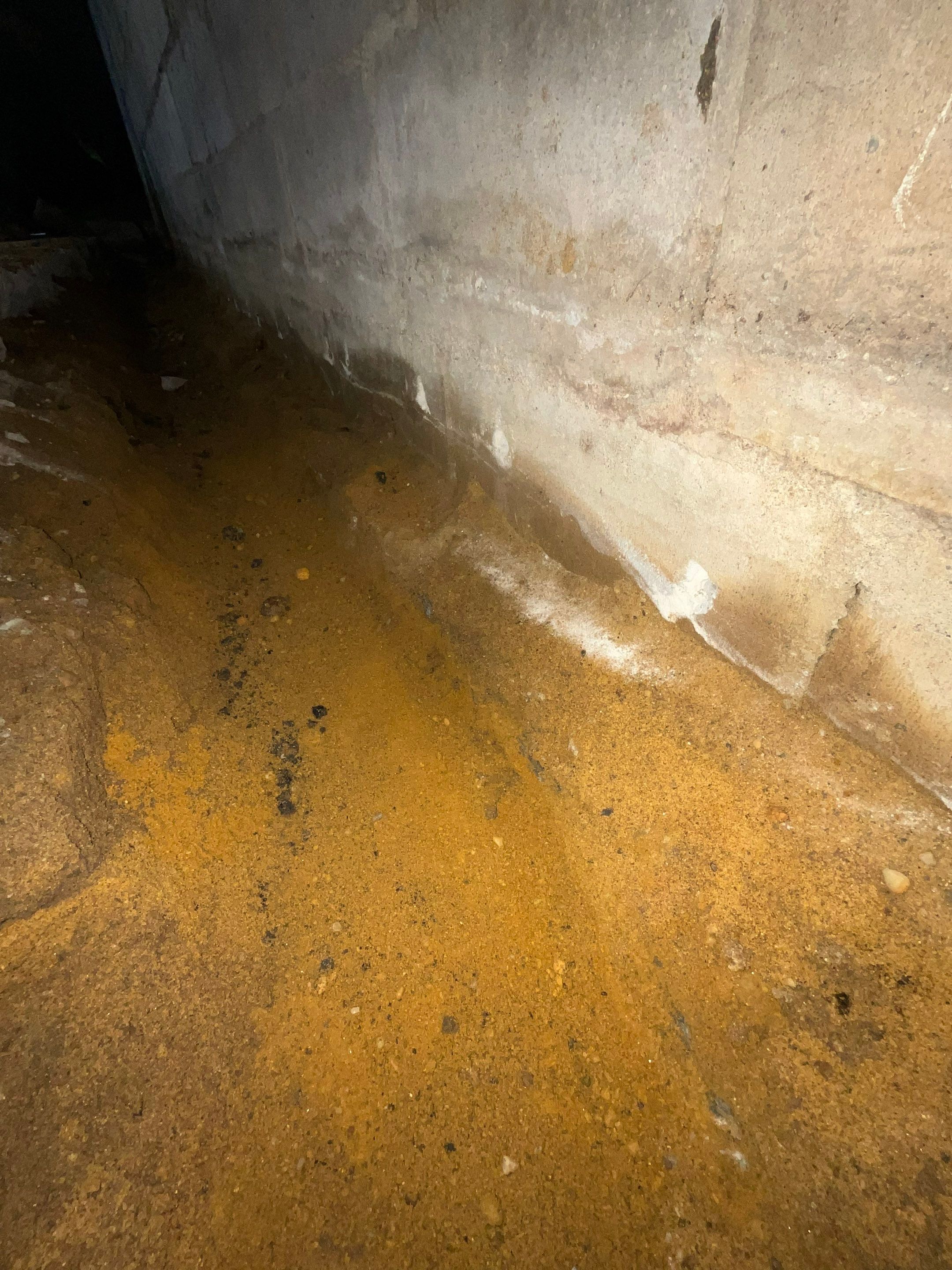 Hofman Ave. Elmont, NY by A.M. Shield Waterproofing, Corp.