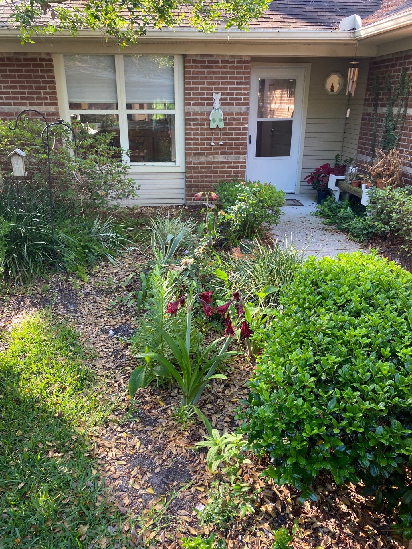 Residential | Volunteer Clean-Up by ProGreen Services