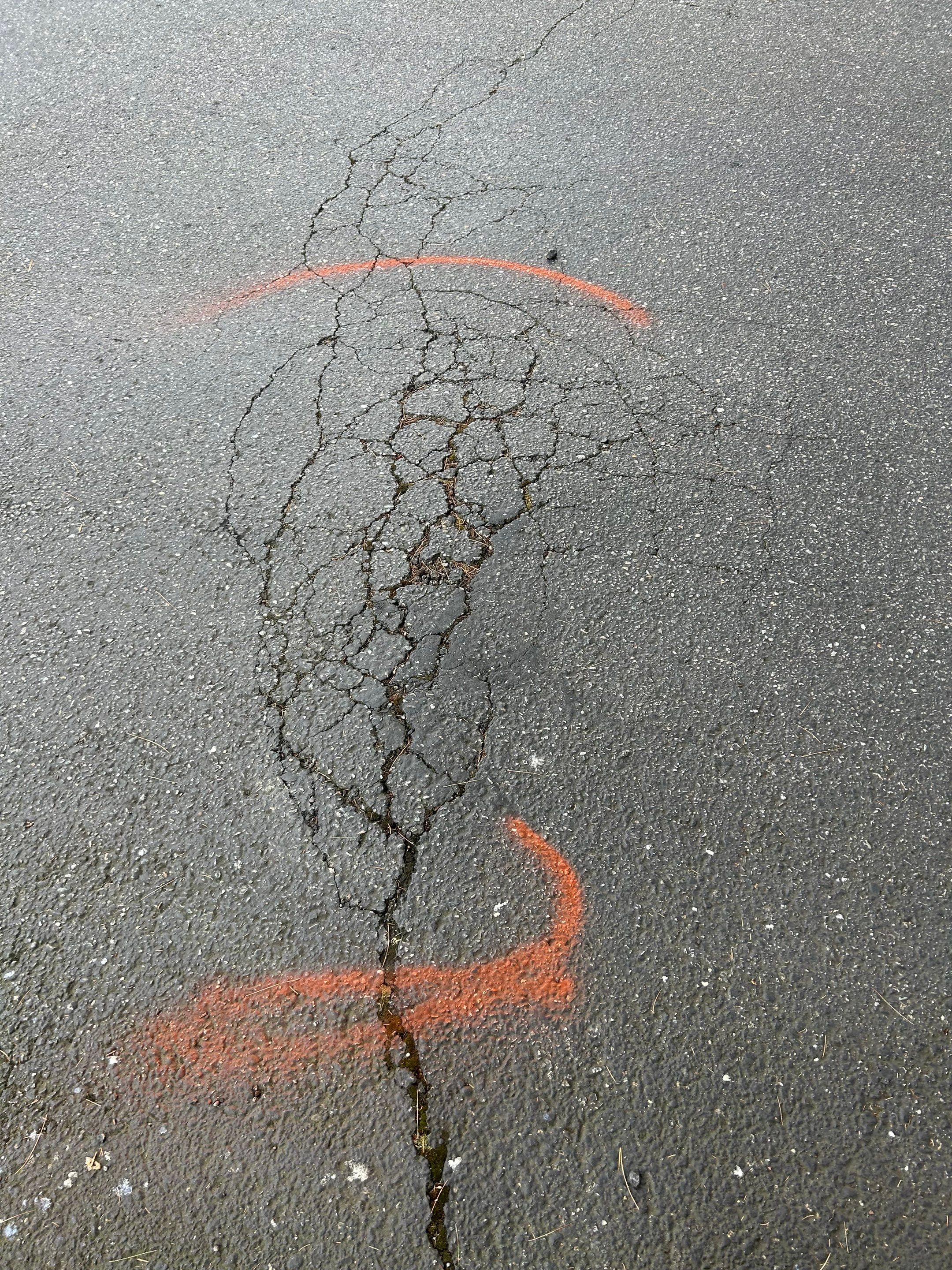 Brooklyn Bros Pizza | Sealcoating & Striping by Jireh Asphalt & Concrete Inc 