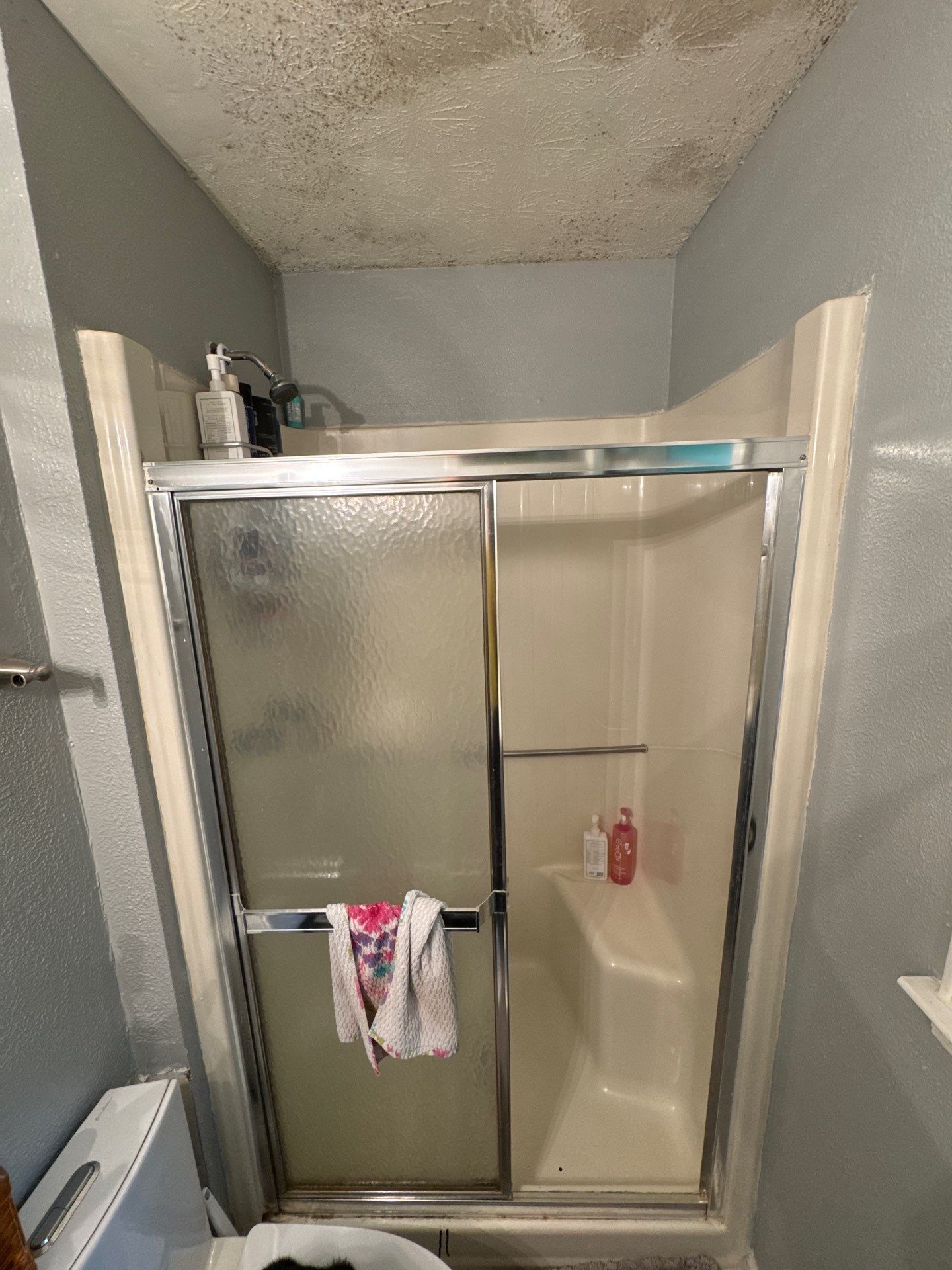 Bathroom renovation by Prudencio